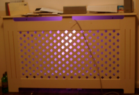 Radiator Purple